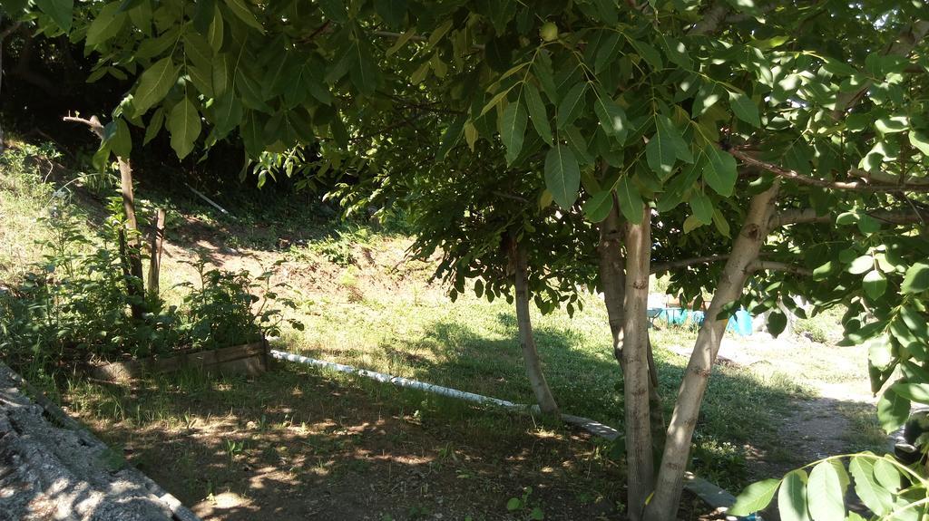 Agatha Appartments Paliouria Kokkino Nero Bagian luar foto